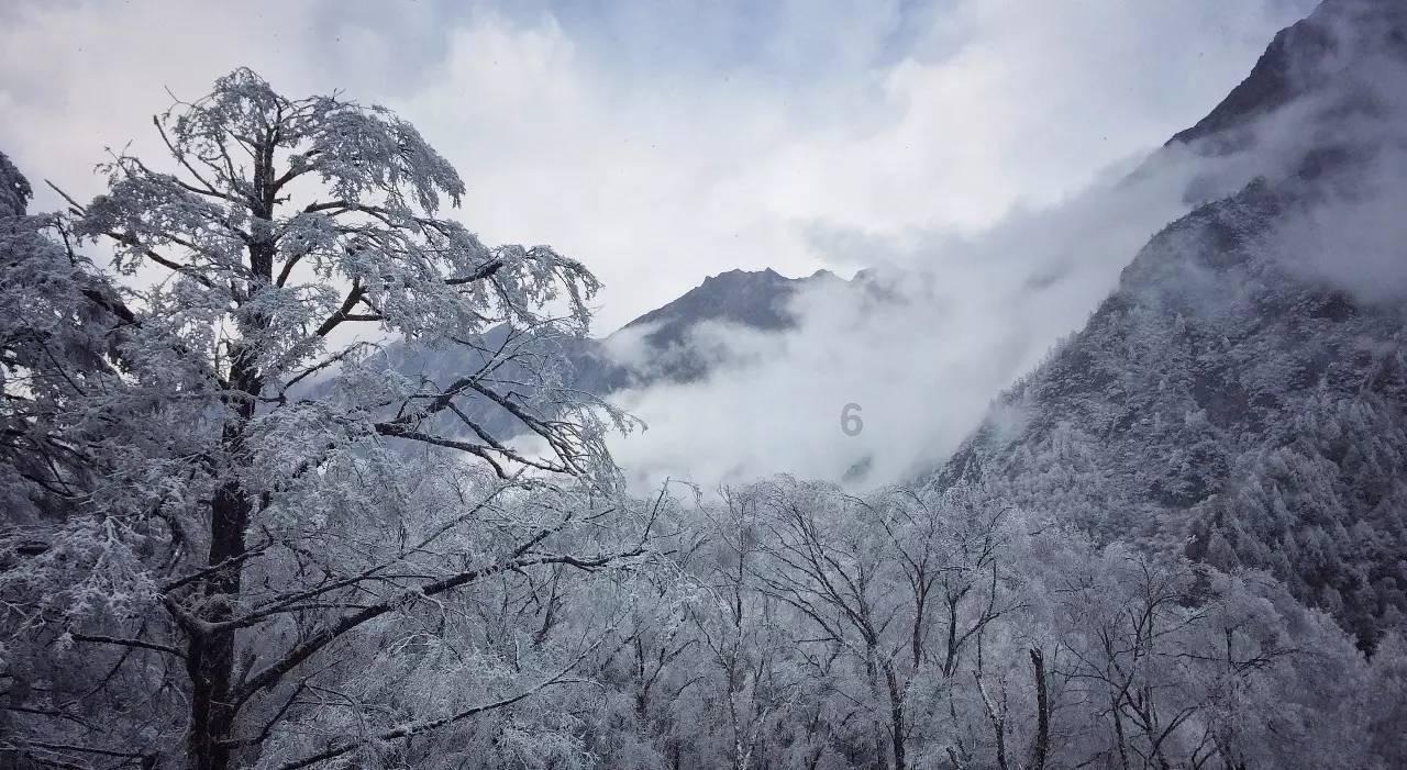 小宝贝仪仗队